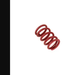 T&S 003690-45 Pedal Valve Bonnet Spring, Red | AP6YWX