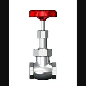 T&S 006647-25 Globe Valve, 1/2 Inch, Rough Chrome Plated | AP7DCP