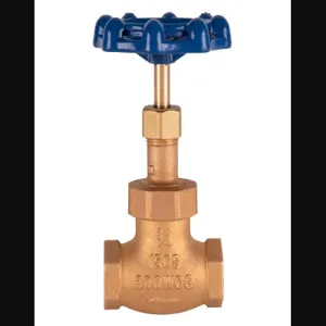 T&S 006648-20B Globe Valve, 3/4 Inch, Blue Handle | AP7DCQ