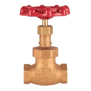 T&S 006648-20R Globe Valve, 3/4 Inch, Red Handle | AP7DCR