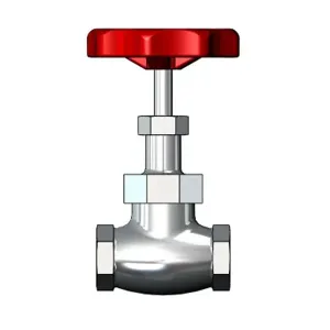 T&S 006648-25 Globe Valve, 3/4 Inch, Rough Chrome Plated | AP7DCT