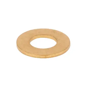 T&S 008F Brass Washer | AP7GDC