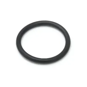 T&S 010389-45 Plunger O-Ring, For Waste Drain Valve | CE4ZKZ