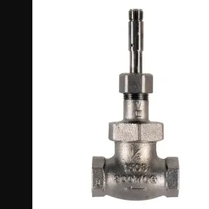 T&S 011927-25 Globe Valve, 1/2 Inch NPT, With Handle Adapter, Chrome Finish | AP8EZG