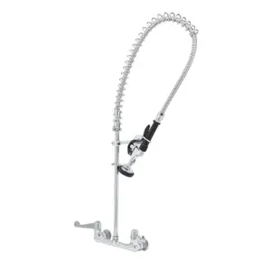 T&S 5PR-8WWS00 Pre-Rinse Faucet, 8 Inch Wall Mount, Ceramas, 4 Inch Wrist Handles | AU2NXH