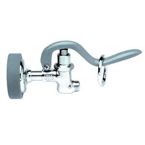 T&S B-0107 Pre-rinse Spray Valve Chrome 3/4-14 | AE7BNM 5WMY4