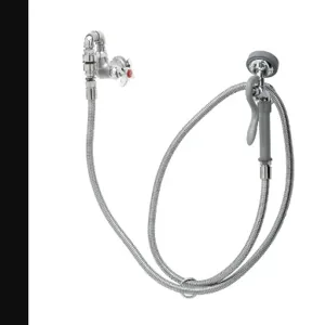 T&S B-0169-01 Faucet, Wall Mt., With Angled Spray Valve, 96 Inch Hose, Wall Hook | AV3MQC