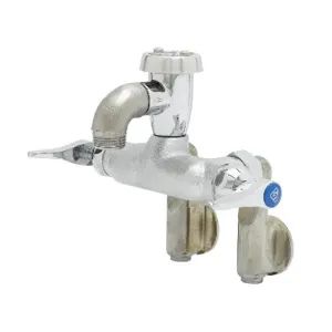 T&S B-0669-CR-RGH Service Sink Faucet, Wall Mt., CV Ceramas, Adjustable Center, Vac Brkr | AV3PEN