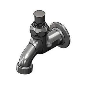 T&S B-0700-124A Single Sink Faucet, With 1/2 Inch NPT Female Inlet And Loose Key Stop | AV3PGY