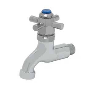 T&S B-0708 Sill Faucet, Self-Closing, 1/2 Inch NPT Male Inlet | AV3PHK