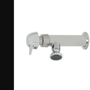 T&S B-0800-PA Wash Sink Faucet, Pivot Action Metering, 1/2 NPT-F Inlet, Rosespray | AV3PKG