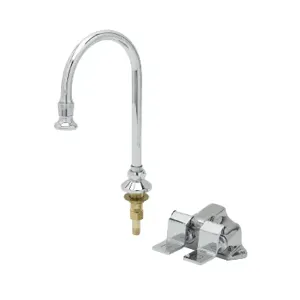 T&S B-2469 Double Pedal Valve And Dummy Rigid Gooseneck, With Rosespray Outlet | AV3QWM