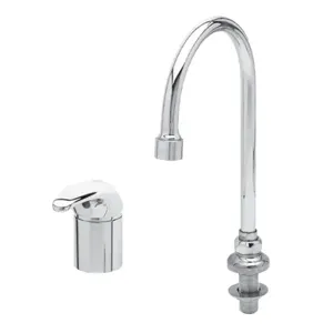 T&S B-2742-LF05 Faucet, Side Mount Unit, Dummy Swivel/Rigid Gooseneck, 0.5 GPM Flow Control | AV3QZB