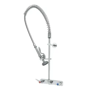 T&S B-5125-CR-B Pre-Rinse Faucet Unit, 8 Inch, Wall Mt., With Cerama, And Wall Bracket | CE6ADK