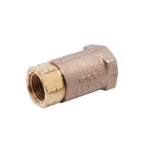 T&S B-CVH1-2 Check Valve, 1/2 Inch NPT Female, Horizontal | AV3RRV