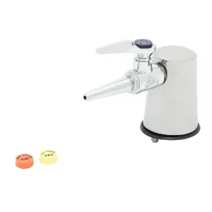 T&S BL-4203-01 Lab Turret, Tapered, With Hose Cock, Vandal Resistant Mounting Pin | AV4BAZ