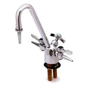 T&S BL-6000-02 Lab Fixture, Gas And Water, 2 Gas Cocks, 6 Inch Gooseneck, 3/8 Inch NPT Inlets | AV4BHV