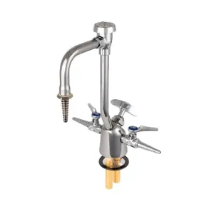 T&S BL-6005-01 Lab Fixture, Gas And Water, 2 Gas Cocks, 7 Inch VB Gooseneck | AV4BHX