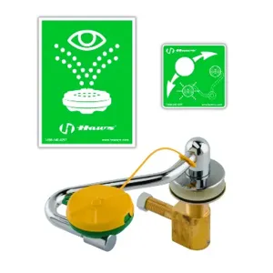 T&S EW-7611 Swing-Away EyeWash Unit, Deck Mount | AV6QPH