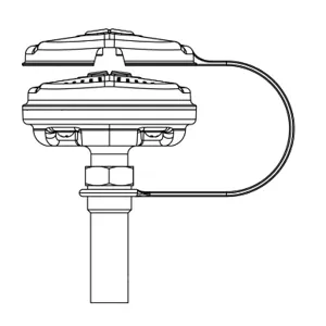 T&S EW-SP65 Eye/Face Wash Head | AV6QPX