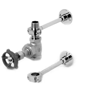 T&S MV-1907-12C Globe Valve, Chrome Plated, 3/4 Inch, Nipple, 2 Brackets | AW4CUN