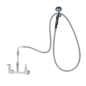 T&S P3-8WESV-00M-CR Pet Grooming Faucet, 8 Inch Wall Mount, Ceramas, Vac Breaker | AW4LDX