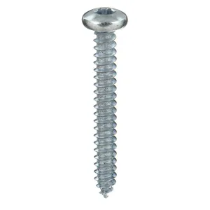 TAMPER-PRUF SCREW 401380 Metal Screw Pan, #12 X 1-1/4 Length, 25Pk | AE4BBQ 5HY90