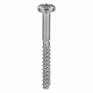 TAMPER-PRUF SCREW 450400 Metal Screw Pan, #2-28 1/2 Length, 50Pk | AE4CDQ 5JE78