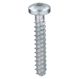 TAMPER-PRUF SCREW 460900 Metal Screw, #6-19 Size, 1/4 Inch Length, 100Pk | AE4FHX 5JU10