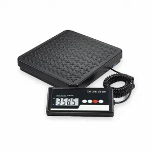 TAYLOR TE400 Bench Scale, 400 lbs. Capacity, 12 1/4 Inch Surface Depth, 12 Inch Surface Width | CH9RDL 3NZG4