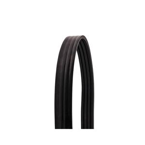 TB WOODS 4RBP55 Classical V-Belt, Diene, B Belt Type, 56.8 inch Length, 4 Ribs | AX3WZA
