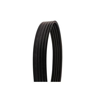 TB WOODS 5RDP540 Classical V-Belt, Diene, D Belt Type, 540.8 inch Length, 5 Ribs | AX6QNY