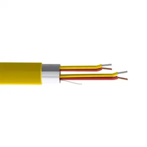 TE WIRE THMWK-20-2S-P-1 Extension Cable, Shielded, 2 Twisted Pairs, 20 Awg, Nickel-Chromium And Nickel-Aluminum | CV7EXZ