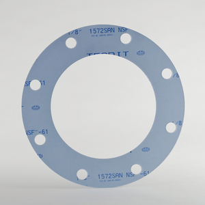 TEADIT CGF1572.116.10.300 Full Face Cut Gasket, Tealon 1572 San, 1/16 Inch Thickness, 10 Inch Size, 300# Class | CN7AXG