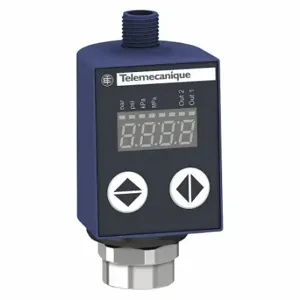 TELEMECANIQUE SENSORS XMLR250M2P05 Fluid and Air Pressure Sensor, 0 to 3625 PSI, PNP, Progra mmable | CU6EQX 40JA59