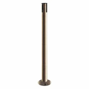 TENSABARRIER 889R-2S-2S-RCV Single Belt Receiver Post, 36 1/2 Inch Height, Mild Steel, Satin Brass | CU6JPA 30RF55