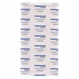 THERMOSAFE FPP22 Cold Brick, 22 oz, 9 Zoll Länge, 4 3/4 Zoll Breite, 24er-Pack | CU6LAL 420L80