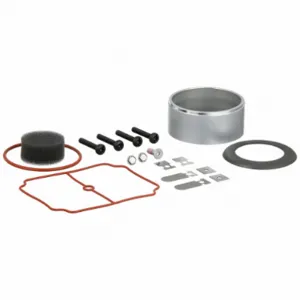 THOMAS PUMPS SK668 Service Kit For AE7LBW | AC2HGN 2KFV9