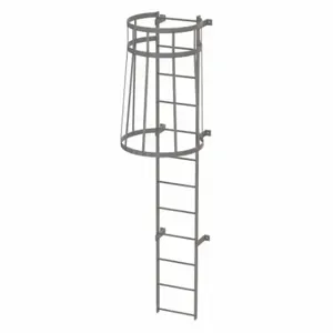 TRI-ARC WLFC1112 Fixed Ladder with Safety Cage, 11 ft, 11 ft Top Step Height, 12 Steps | CU6WGQ 25NY79