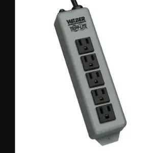 TRIPP LITE 602-15 Power Outlet Strip, 5 Outlets | CU6XZD 38M947