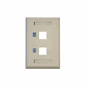 TRIPP LITE N042-001-WH Keystone Face Plate, 2-Port Dual Outlet | CU6YCA 43LT02