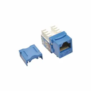 TRIPP LITE N238-001-BL Keystone Jack, Cat6/Cat5e, 110 Punch, Blue | CU6XWH 43LU67