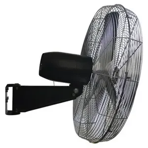 VESTIL CCRF-30-W Commercial Circulator Wall Fan, 30 Inch Dia. | AG7PGZ