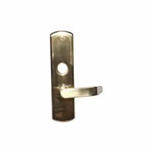 VON DUPRIN 996L-06-R/V US3 RHR Lever Trim Key, Pull, 1, Polished Brass, 48 Inch Max. Door Width, Fire Rated, 98/99 | CU8AAK 28XU63