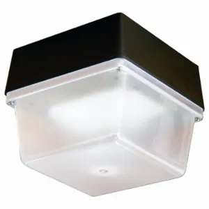 W F HARRIS LIGHTING 80-LED-2K4-FC-HB-120-277 Indoor/Outdoor LED Luminaire, 5000K, 2424 lm, 5000 K Color Temp, 2, 424 lm | CV2AVJ 60WT72