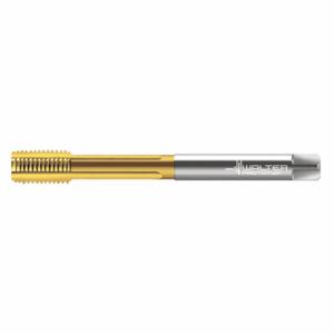 WALTER TOOLS 2036155-M36 Straight Flute Tap, M36X4 Thread Size, 48 mm Thread Length, 300 mm Length | CU9BLE 426W28
