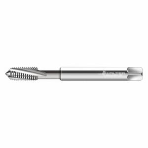 WALTER TOOLS 20416-M2 Spiral Flute Tap, M2X0.4 Thread Size, 8 mm Thread Length, 45 mm Length | CU9FCL 426X74