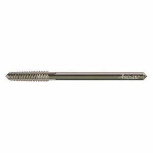 WALTER TOOLS 20844-M6 Extension Tap, M6X1 Thread Size, 24 mm Thread Length, 271 mm Length, 5 Flutes | CU9CWD 426Y78