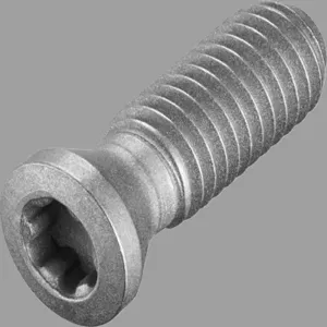 WALTER TOOLS 5526214 Insert Screw, Insert Screw | CU8KYM 216TW3