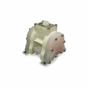 WARREN-RUPP WR10KP5BKK9. Double Diaphragm Pump, Air, Pvdf, Bolt, 3/8 Inch Fluid Connection Size, Npt, Ptfe, Pvdf | CU9TNL 2ERY9